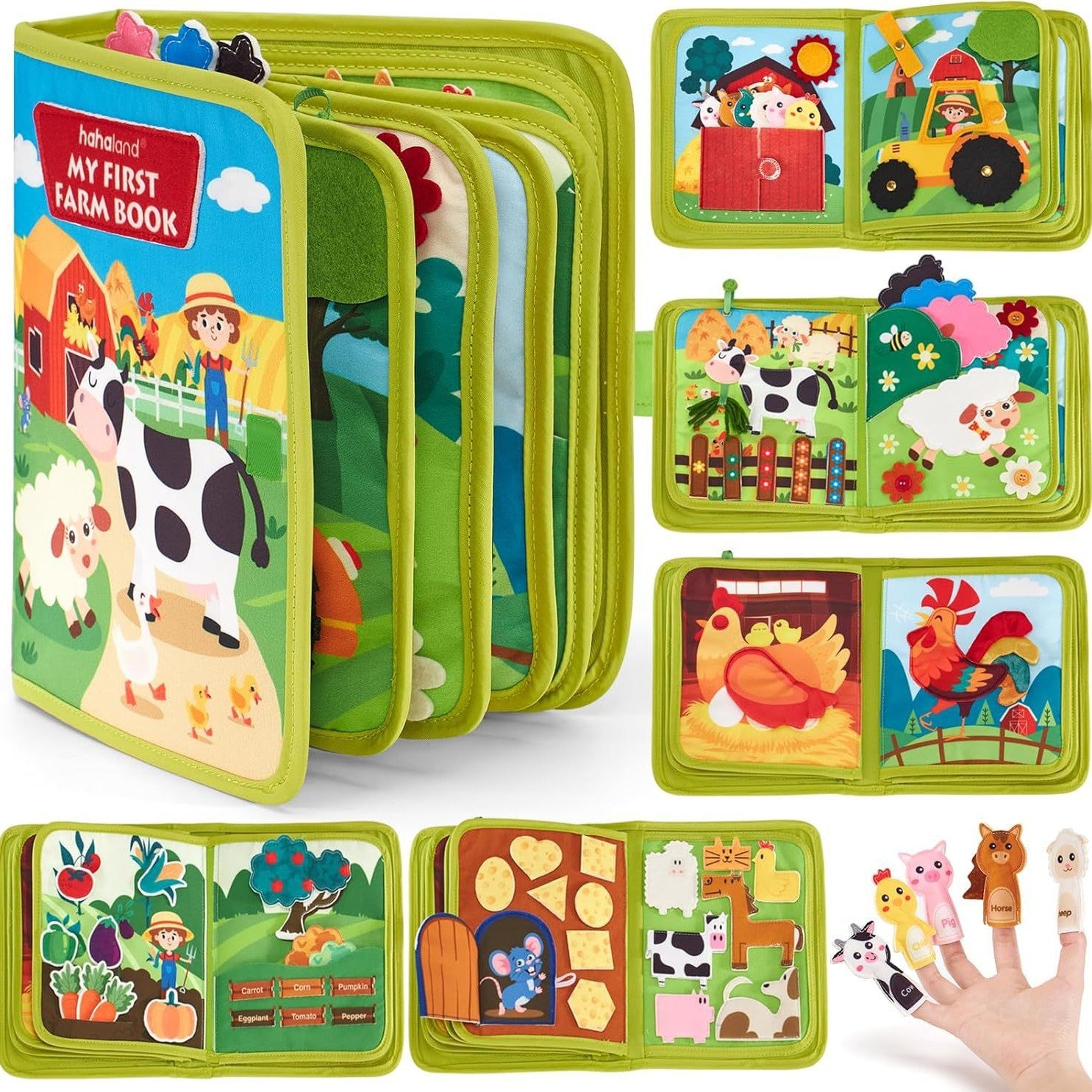 Educational Activity Board